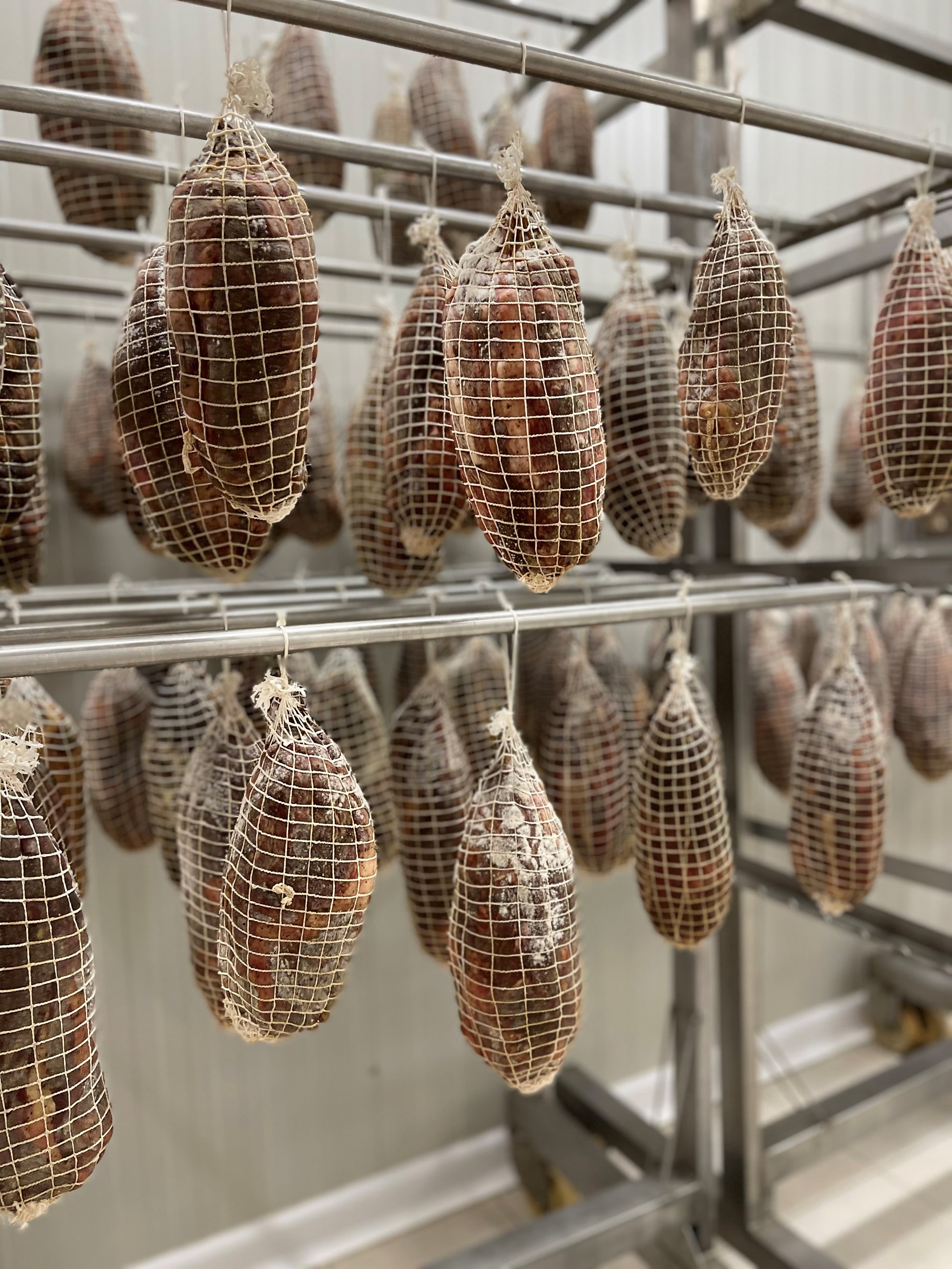 lonza