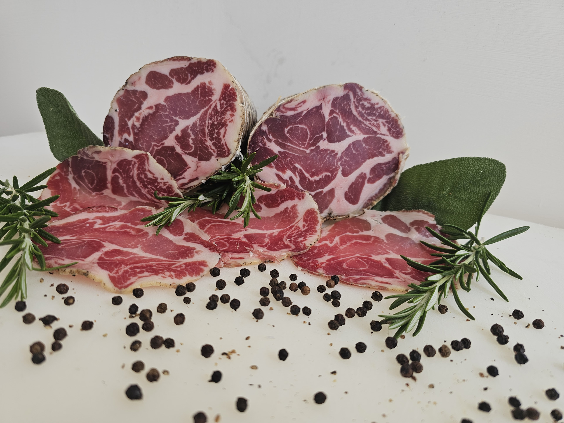lonza_h